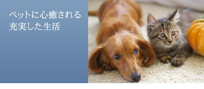ペットに心癒される充実した生活