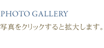 フォトギャラリー